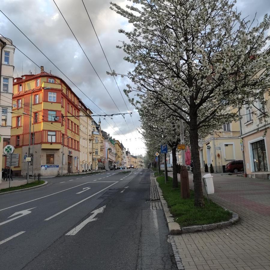 Apartamento Apartmán Friedrichsruh Mariánské Lázně Exterior foto